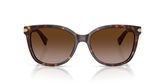 Coach HC8132 L109 Sunglasses