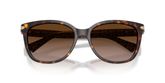 Coach HC8132 L109 Sunglasses