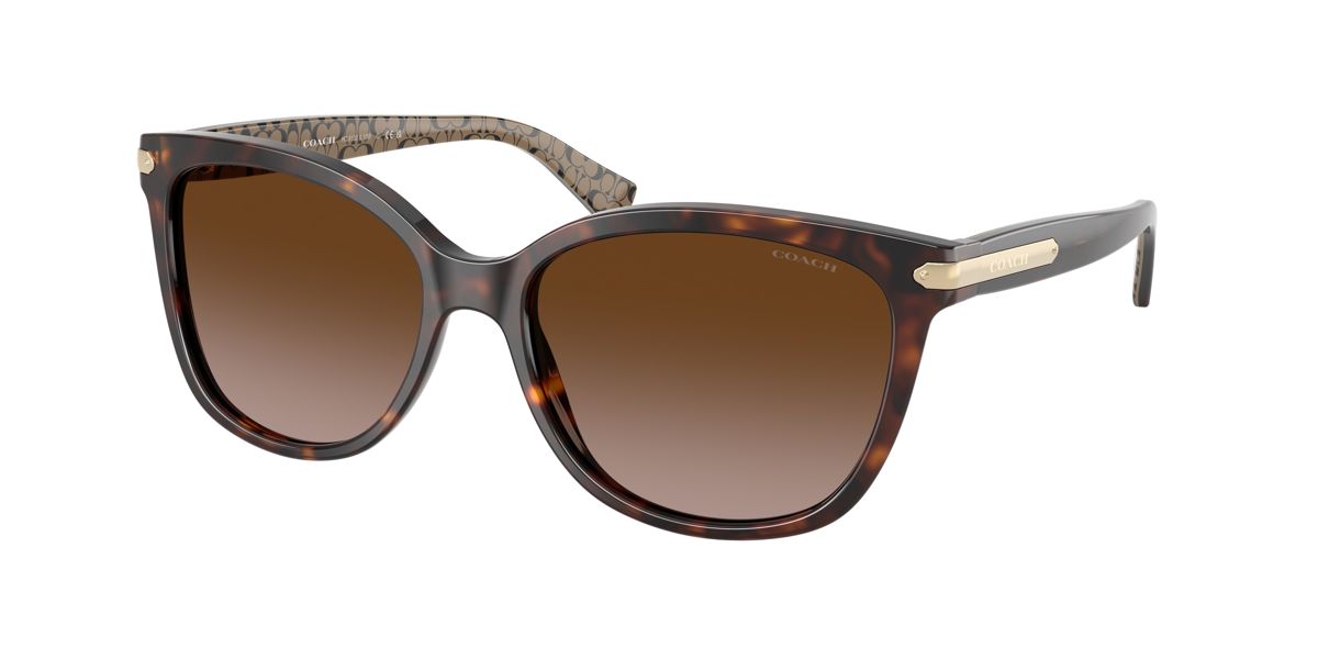 Coach HC8132 L109 Sunglasses