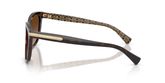 Coach HC8132 L109 Sunglasses