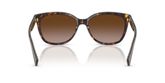 Coach HC8132 L109 Sunglasses