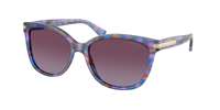 Coach HC8132 L109 Sunglasses