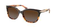 Coach HC8132 L109 Sunglasses
