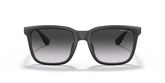 Armani Exchange AX4112SU Sunglasses