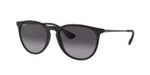 Ray Ban RB4171 ERIKA Sunglasses