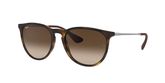 Ray Ban RB4171 ERIKA Sunglasses