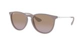 Ray Ban RB4171 ERIKA Sunglasses