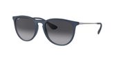 Ray Ban RB4171 ERIKA Sunglasses