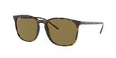 Ray Ban RB4387 Sunglasses