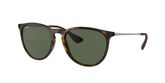 Ray Ban RB4171 ERIKA Sunglasses