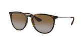 Ray Ban RB4171 ERIKA Sunglasses