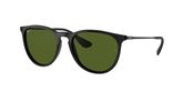 Ray Ban RB4171 ERIKA Sunglasses