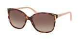 Prada PR 01OS CONCEPTUAL Sunglasses