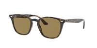 Ray Ban RB4258F Sunglasses