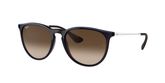 Ray Ban RB4171 ERIKA Sunglasses