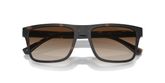 Emporio Armani EA4115 Sunglasses