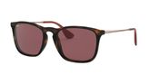 Ray Ban RB4187 CHRIS Sunglasses