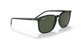 Ray Ban RB4387 Sunglasses