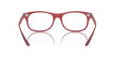 Ray Ban RX7307M Eyeglasses