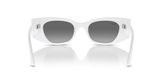 Ray Ban RB4427 KAT Sunglasses