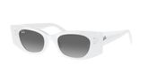 Ray Ban RB4427 KAT Sunglasses