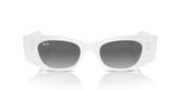 Ray Ban RB4427 KAT Sunglasses
