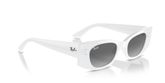 Ray Ban RB4427 KAT Sunglasses