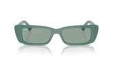 Ray Ban RB4425 TERU Sunglasses