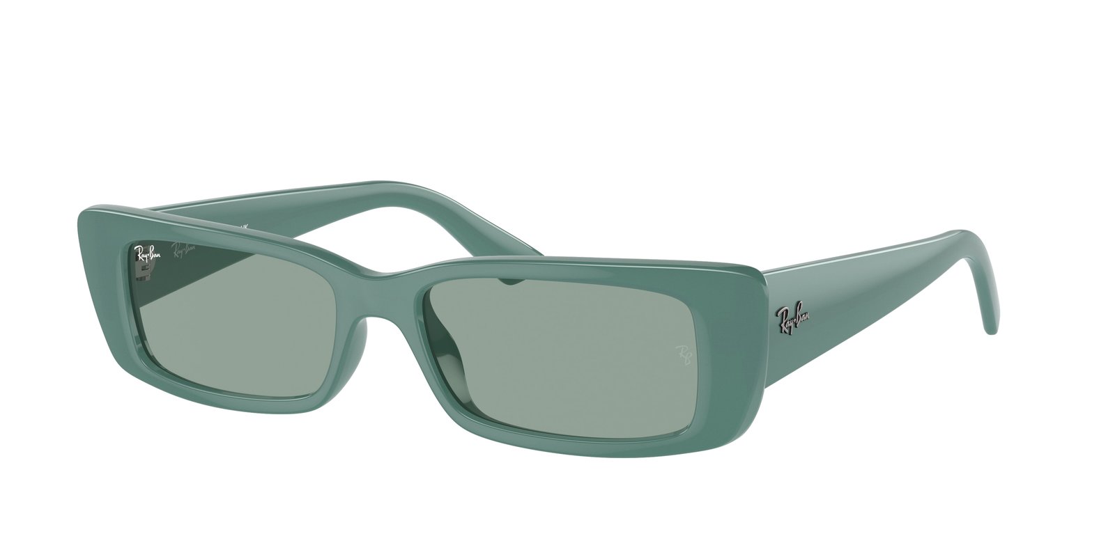 Ray Ban RB4425 TERU Sunglasses