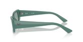 Ray Ban RB4425 TERU Sunglasses