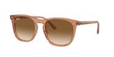 Ray Ban RB2210 Sunglasses