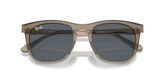 Ray Ban RB2210 Sunglasses