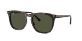 Ray Ban RB2210 Sunglasses