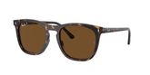 Ray Ban RB2210 Sunglasses