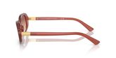 POLO PH4198U Sunglasses