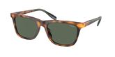 POLO PH4205U Sunglasses