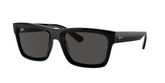 Ray Ban RB4396 WARREN Sunglasses