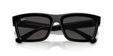 Ray Ban RB4396 WARREN Sunglasses