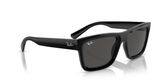 Ray Ban RB4396 WARREN Sunglasses