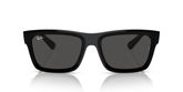 Ray Ban RB4396 WARREN Sunglasses