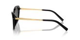 Ralph Lauren RL8224U THE ELLA Sunglasses