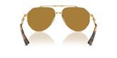 Dolce & Gabbana DG2302 Sunglasses