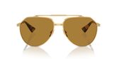 Dolce & Gabbana DG2302 Sunglasses