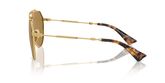Dolce & Gabbana DG2302 Sunglasses