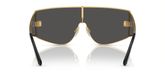 Dolce & Gabbana DG2305 Sunglasses