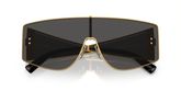 Dolce & Gabbana DG2305 Sunglasses
