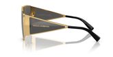 Dolce & Gabbana DG2305 Sunglasses