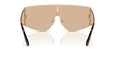 Dolce & Gabbana DG2305 Sunglasses