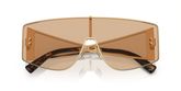 Dolce & Gabbana DG2305 Sunglasses