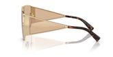Dolce & Gabbana DG2305 Sunglasses